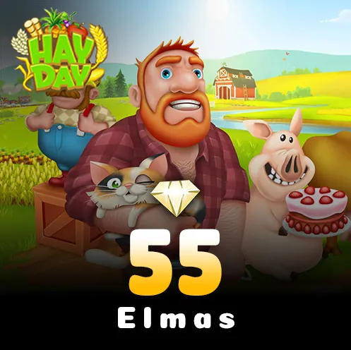 Hay Day 55 Elmas