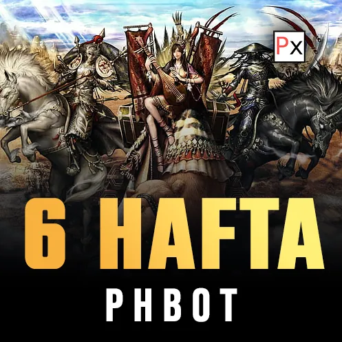Silkroad phBot 6 Hafta